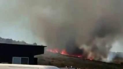 Bakan Pakdemirli: Alaçatı'daki orman yangını kontrol altına alındı