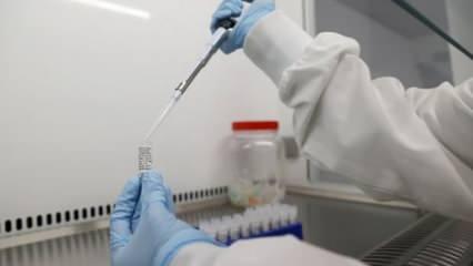 Koronavirüs aşısı son aşamaya hazır: 30 bin kişi üzerinde denenecek