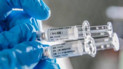 Trump "harika haber" deyip paylaştı! Koronavirüs aşısında yeni gelişme