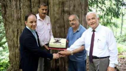4117'nci yaşına giren porsuk ağacı için doğum günü pastası kestiler