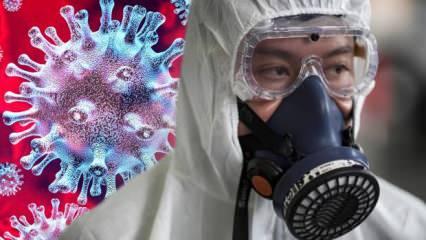 2 Ağustos dünyada koronavirüs tablosu