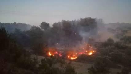 Soma'da orman yangını: 1 uçak, 5 helikopter havadan müdahale ediyor