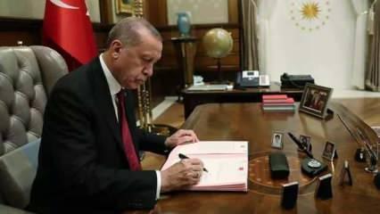 Açıköğretim Psikoloji programı için hazırlanan rapor Erdoğan'a sunuldu