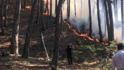 Ankara'da milli parkta yangın