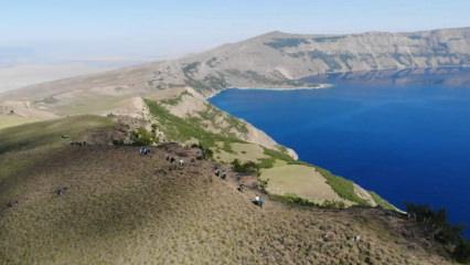 Dünyanın 2. büyük krater gölü Nemrut'ta yürüyüş