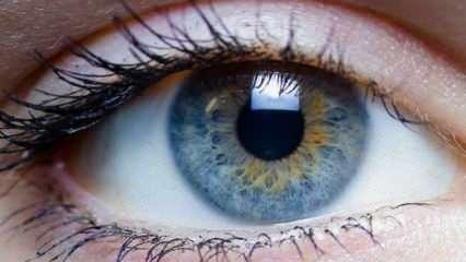 En ilgin&ccedil; ama ger&ccedil;ek bilgiler! &Ouml;ğrenince şaşıracaksınız!