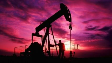 Brent petrolün varili 42,54 dolar