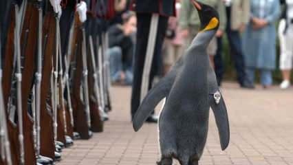 İlgin&ccedil; ama ger&ccedil;ek! Bunları daha &ouml;nce hi&ccedil; duymadınız!