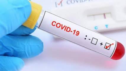 Koronavirüs hükümet düşürdü!