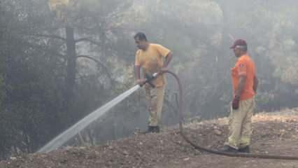 Menderes'teki orman yangınıyla ilgili bir kişi tutuklandı
