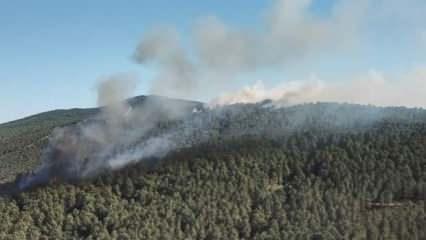 Vali Yerlikaya:  Aydos Ormanı’ndaki yangın kontrol altına alındı