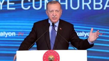 Akdeniz iddiası: Yüzde 5'i Türkiye'nin 70 yılını kurtaracak