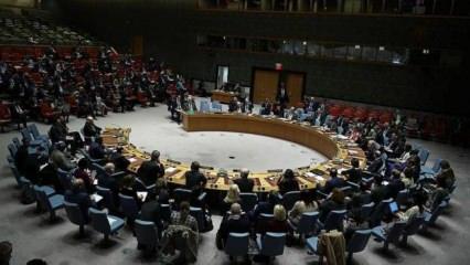 BM Güvenlik Konseyi'nden Dağlık Karabağ açıklaması
