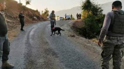 Köy yoluna tuzaklanan EYP imha edildi