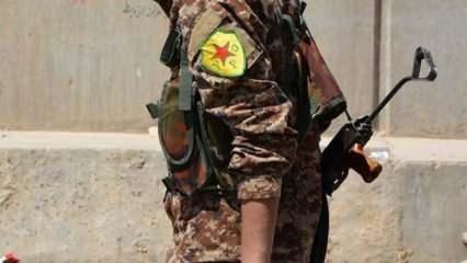 AA, BAE'nin Türkiye karşıtı YPG kararını ifşa etti