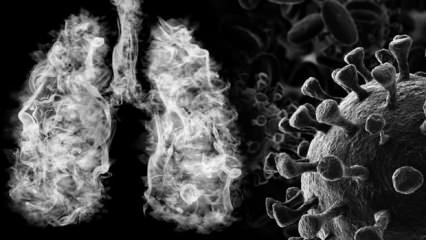 Sigara içenlere koronavirüsün bulaşma riski 14 kat fazla