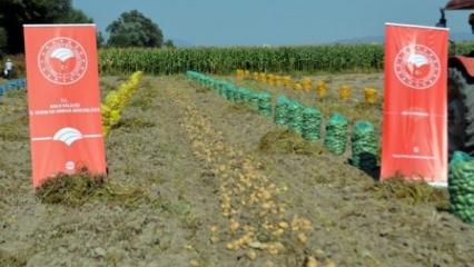Bolu'da yerli ve milli patates çeşitlerinin tanıtımı yapıldı