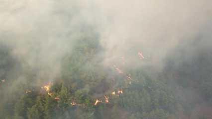 Hatay’daki orman yangınında bir köy daha tahliye edildi