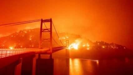 ABD'deki orman yangını felaketinde ölü sayısı 23'e yükseldi