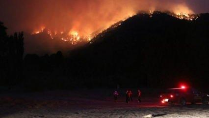 Adana'da orman yangını: Bazı evler tahliye edildi