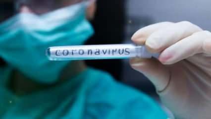 ABD’de koronavirüsten ölenlerin sayısı 202 bini geçti