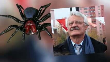 Eski belediye başkanını zehirli örümcek ısırdı