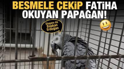 Besmele çeken Fatiha okuyan papağan! Sloganıda Başkan Erdoğan