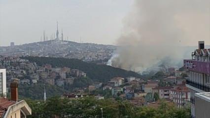 Beykoz'daki orman yangını kontrol altına alındı