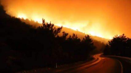 Çanakkale'de orman yangını 