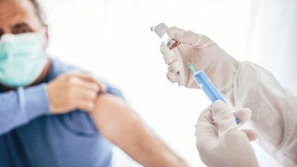 Milli aşı babayiğitleri aranıyor