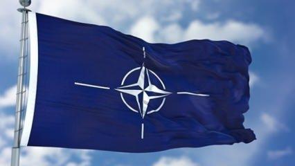 NATO ile Yunanistan arasında kritik görüşme!