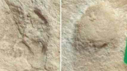 Suudi Arabistan´da 120 bin yıllık ayak izi keşfedildi
