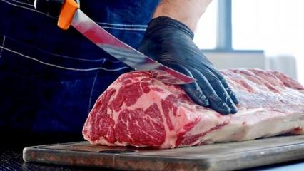 Gıda teröristleri deşifre oldu: Vatandaşa at eti yediriyorlarmış