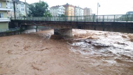 Şiddetli yağış Rize'yi vurdu: 20 köy yolu ulaşıma kapandı