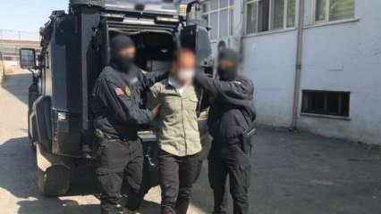 Şırnak’ta 4 terörist yakalandı 