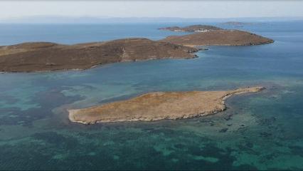 Taşlı Ada 'kesin korunacak hassas alan' ilan edildi