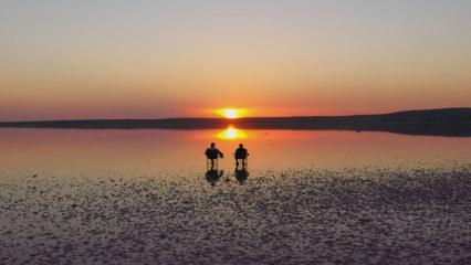 Tuz Gölü'nde kartpostallık gün batımı manzarası