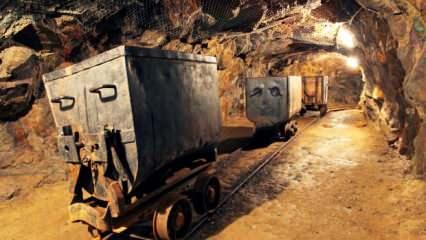 Tek çatı altında toplanacak: Maden Holding geliyor