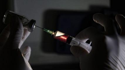 Tüberküloz aşısının Kovid-19'a karşı koruyuculuğu test edilecek