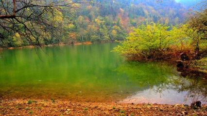 Bolu'nun saklı cenneti Sülüklü Göl