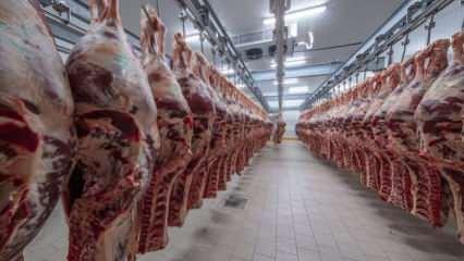 ESK, büyükbaş karkas etin alım fiyatını artırdı