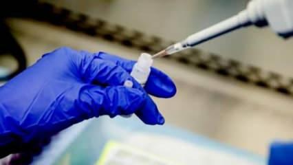 Aşı Bilimi Derneği Başkanı Gürüz: "Kovid-19 aşısının martta hazır olacağına inanıyorum"