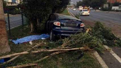 Rus turist, otostop yaparak bindiği otomobilin refüjdeki ağaca çarpmasıyla öldü