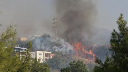 Hatay'da çıkan orman yangını yerleşim yerlerine sıçradı