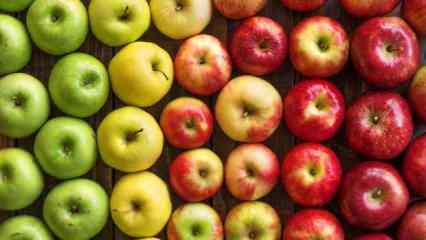 Sarı, yeşil ve kırmızı elmanın bilinmeyen faydaları ve besin değerleri...