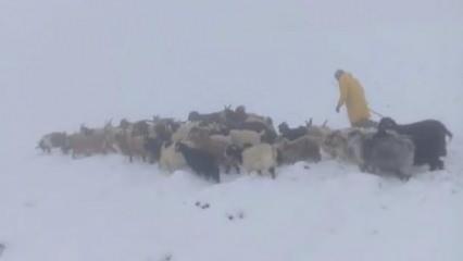 Başkale'de kar yağışı çobanları olumsuz etkiledi
