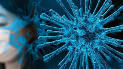 Koronavirüsün hiç bilinmeyen bir belirtisi ortaya çıktı! 
