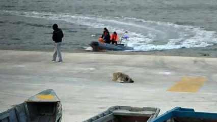 Saros Körfezi'nde balıkçı teknesi battı: 3 kişi kayıp