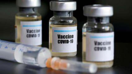 Medicago ve GSK geliştirdikleri aşıyı 30 bin gönüllü üstünde test edecek