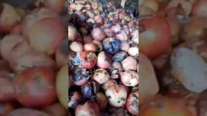 Tarım ve Orman Bakanlığından "çürük elma" açıklaması: